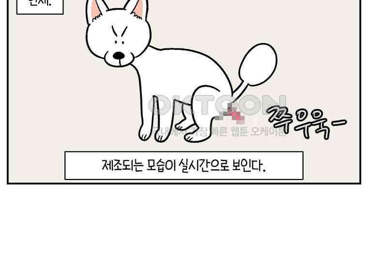 극한견주 시즌2 3화 돌아온 면봉 10