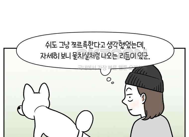 극한견주 시즌2 3화 돌아온 면봉 11