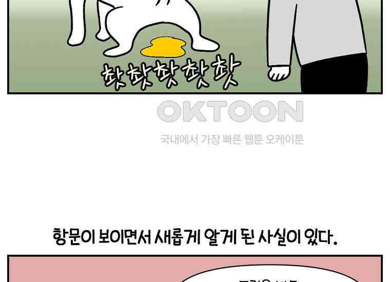 극한견주 시즌2 3화 돌아온 면봉 12