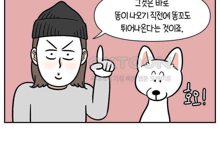 극한견주 시즌2 3화 돌아온 면봉 13