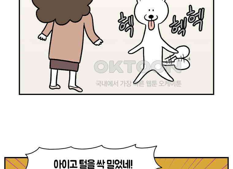 극한견주 시즌2 3화 돌아온 면봉 23