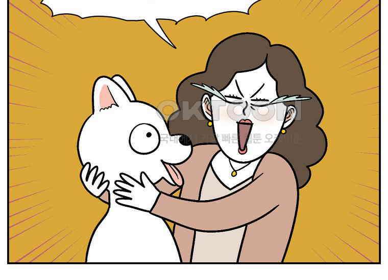 극한견주 시즌2 3화 돌아온 면봉 24