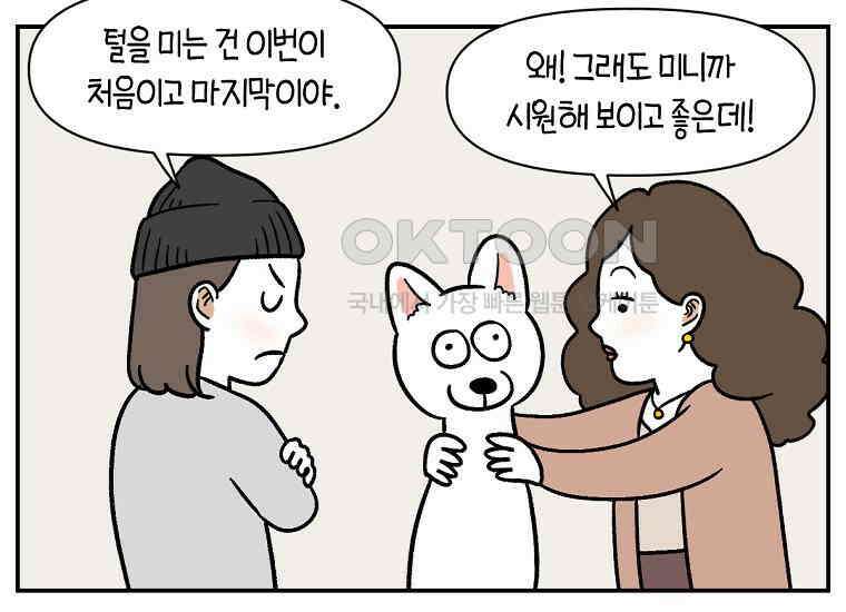 극한견주 시즌2 3화 돌아온 면봉 31