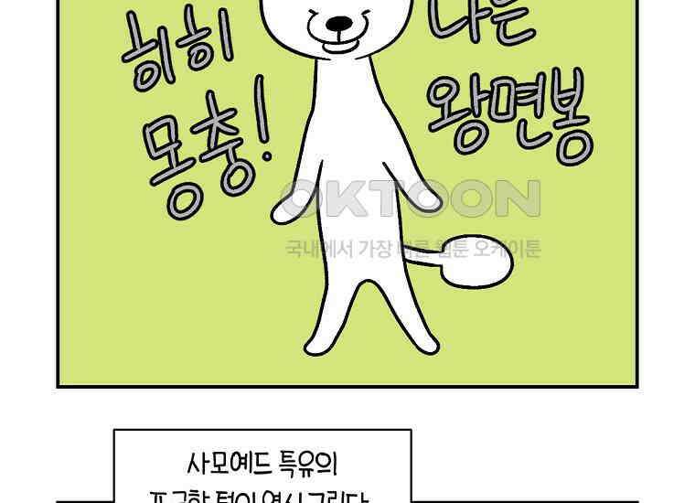 극한견주 시즌2 3화 돌아온 면봉 36