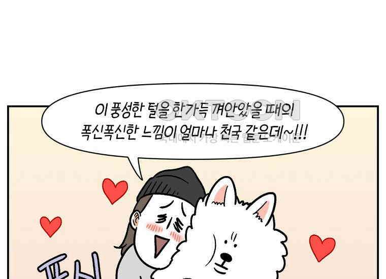 극한견주 시즌2 3화 돌아온 면봉 38