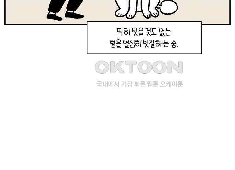 극한견주 시즌2 3화 돌아온 면봉 41