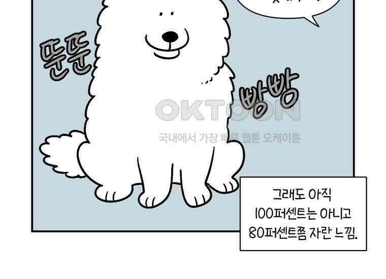 극한견주 시즌2 3화 돌아온 면봉 44