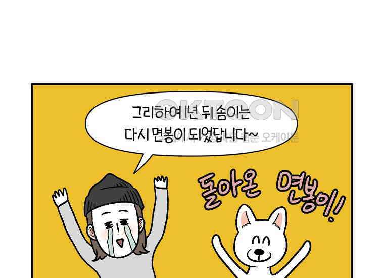 극한견주 시즌2 3화 돌아온 면봉 51