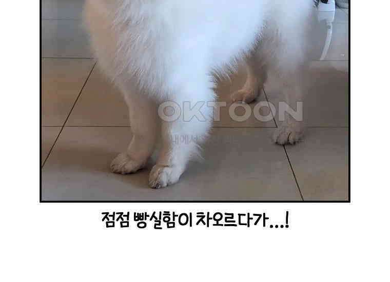 극한견주 시즌2 3화 돌아온 면봉 56