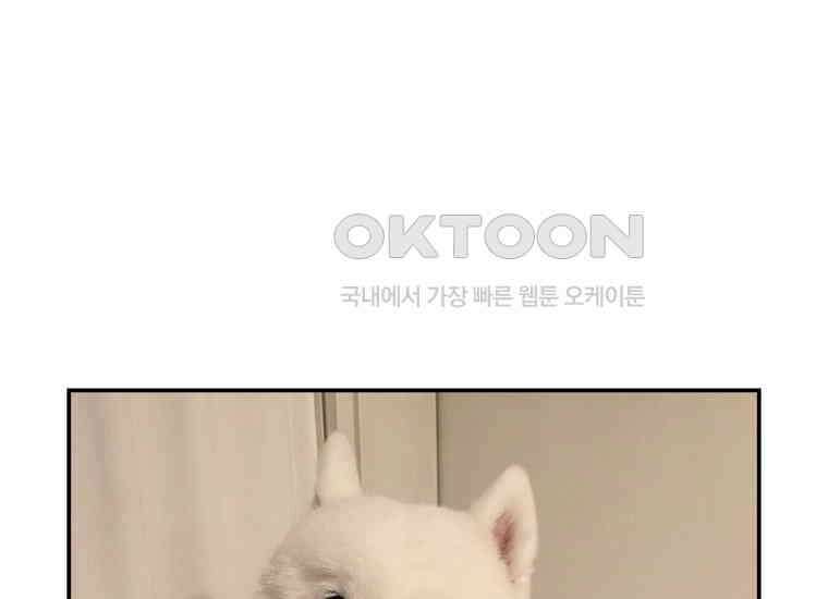 극한견주 시즌2 3화 돌아온 면봉 59