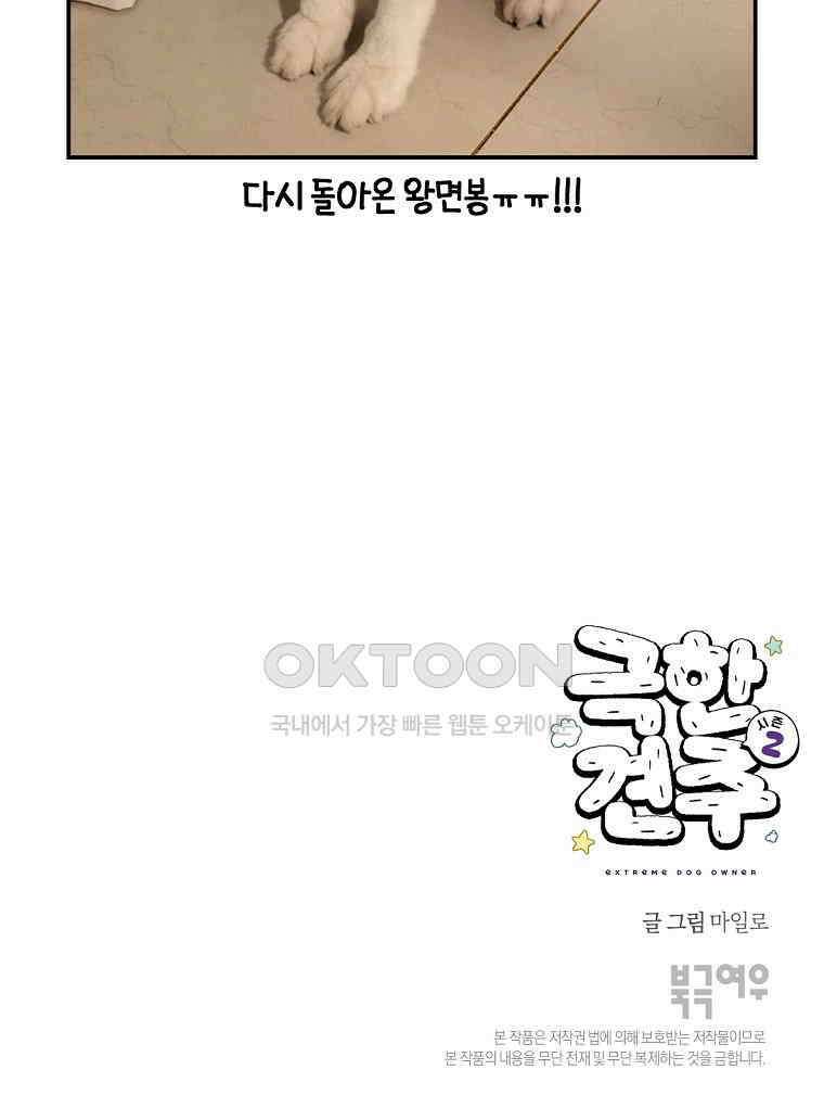 극한견주 시즌2 3화 돌아온 면봉 61