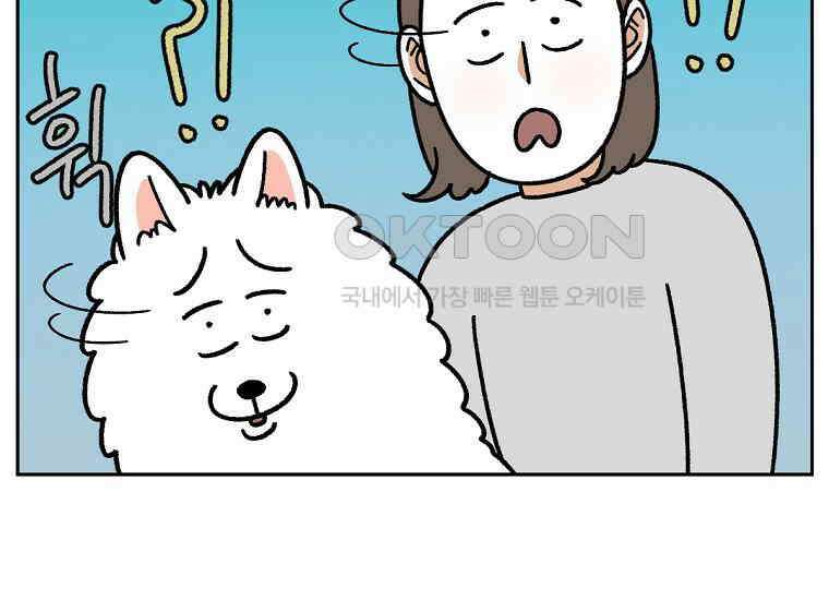 극한견주 시즌2 16화 뚱뚱한 강아지(1) 8