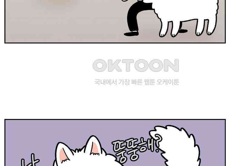 극한견주 시즌2 16화 뚱뚱한 강아지(1) 10