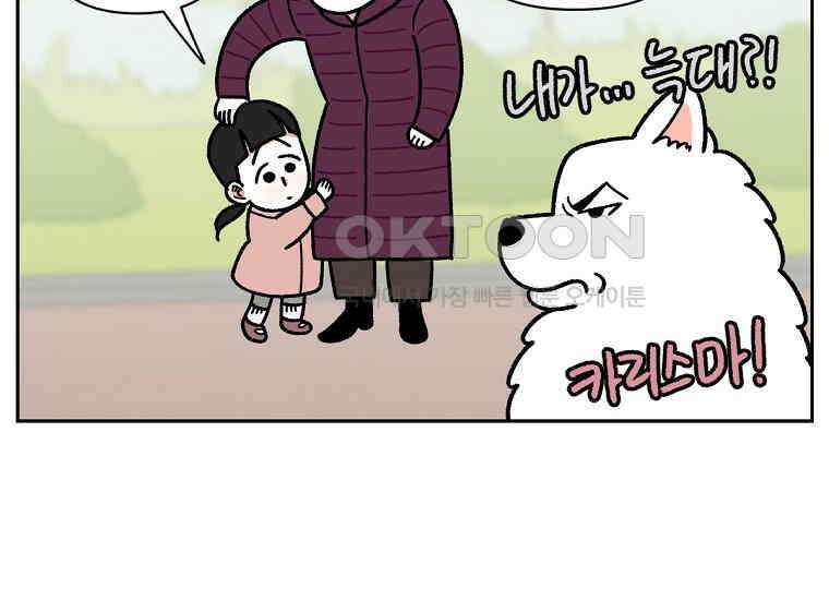 극한견주 시즌2 16화 뚱뚱한 강아지(1) 19