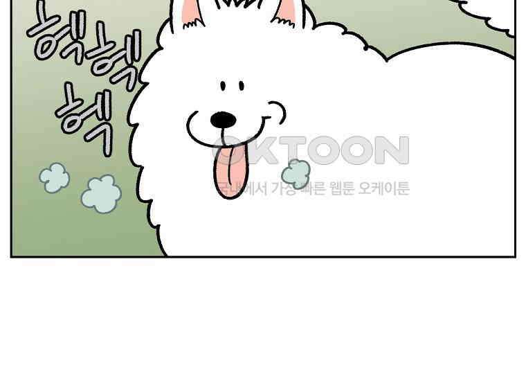 극한견주 시즌2 16화 뚱뚱한 강아지(1) 23