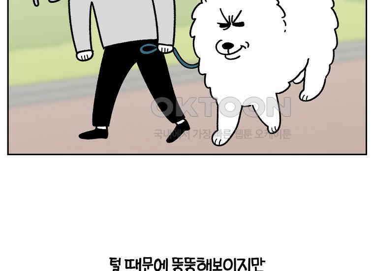 극한견주 시즌2 16화 뚱뚱한 강아지(1) 32