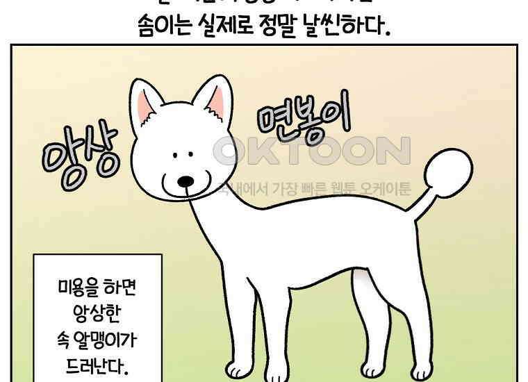 극한견주 시즌2 16화 뚱뚱한 강아지(1) 33