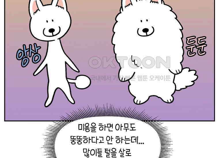 극한견주 시즌2 16화 뚱뚱한 강아지(1) 35