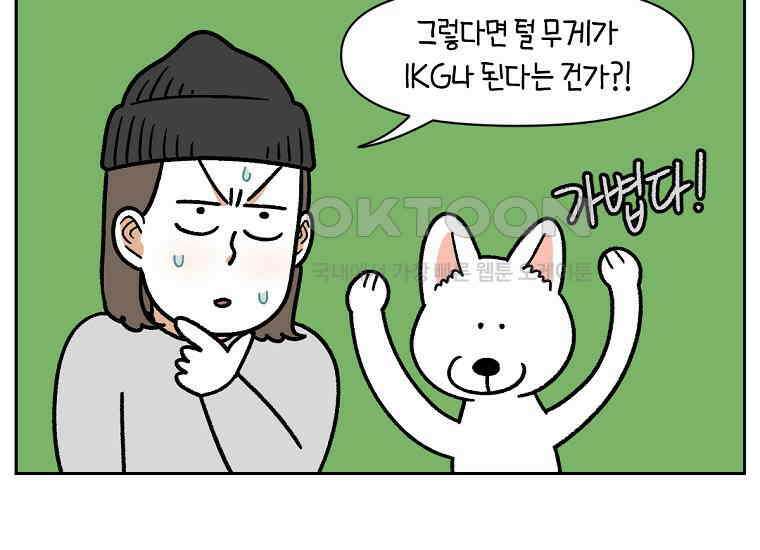 극한견주 시즌2 16화 뚱뚱한 강아지(1) 40
