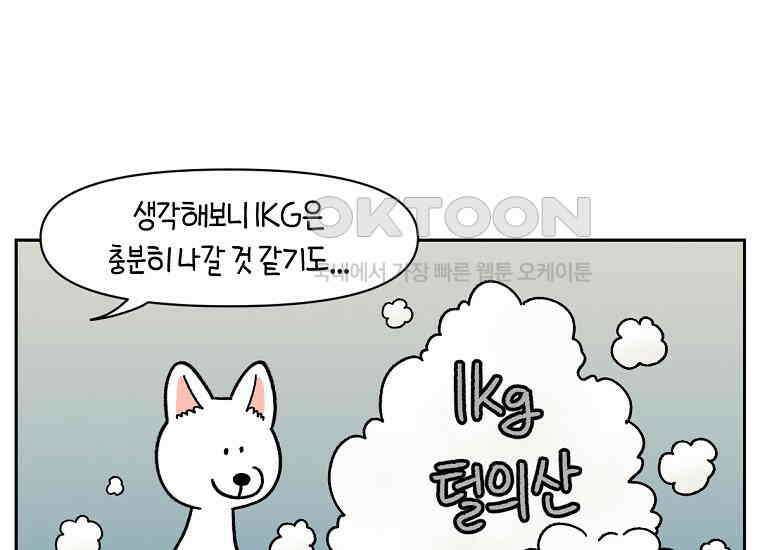 극한견주 시즌2 16화 뚱뚱한 강아지(1) 41