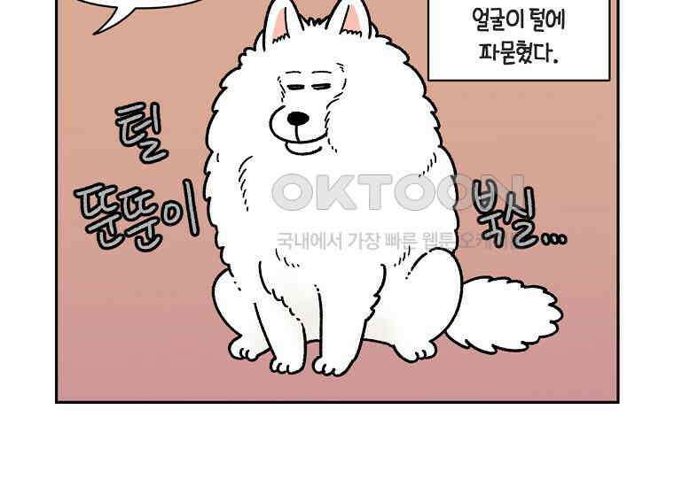 극한견주 시즌2 16화 뚱뚱한 강아지(1) 43