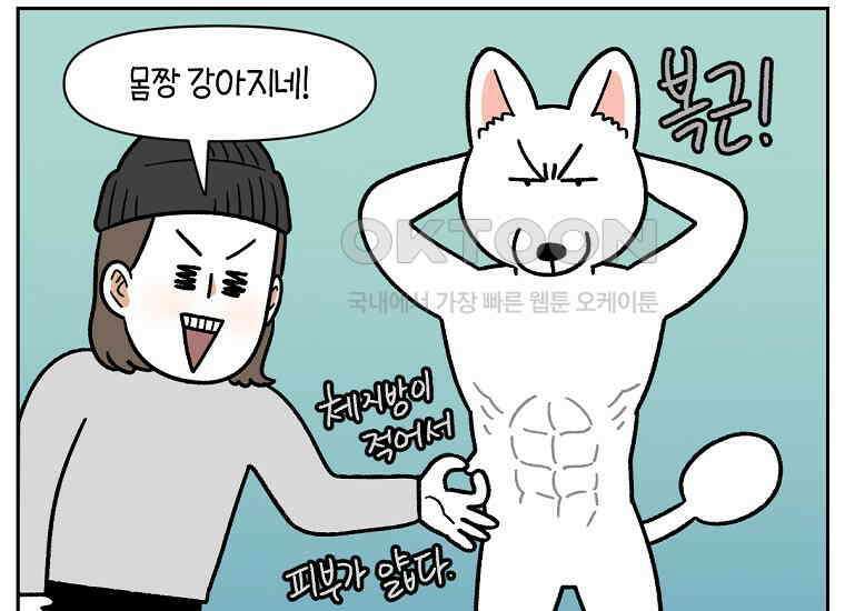 극한견주 시즌2 16화 뚱뚱한 강아지(1) 46