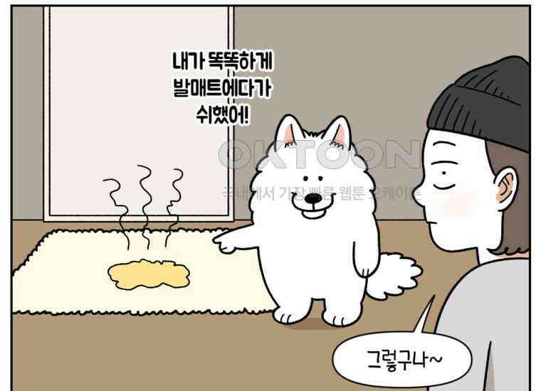 극한견주 시즌2 23화 러그(2) 12