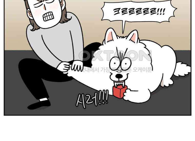 극한견주 시즌2 23화 러그(2) 23
