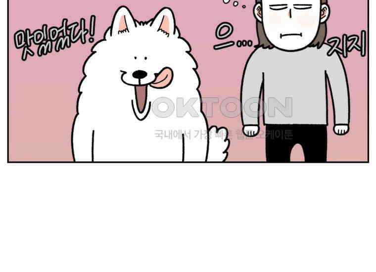 극한견주 시즌2 23화 러그(2) 28