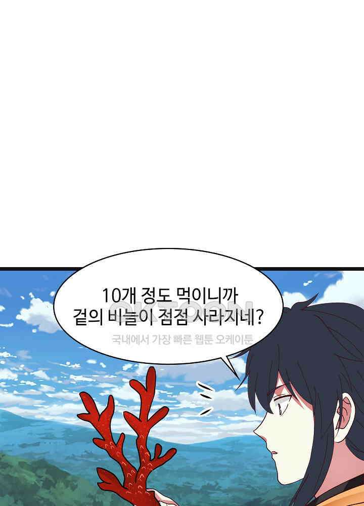 혼돈의 연단사 246 18