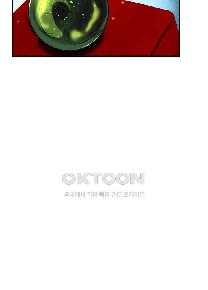 혼돈의 연단사 250 21