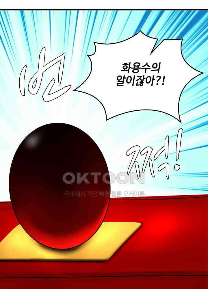 혼돈의 연단사 250 49