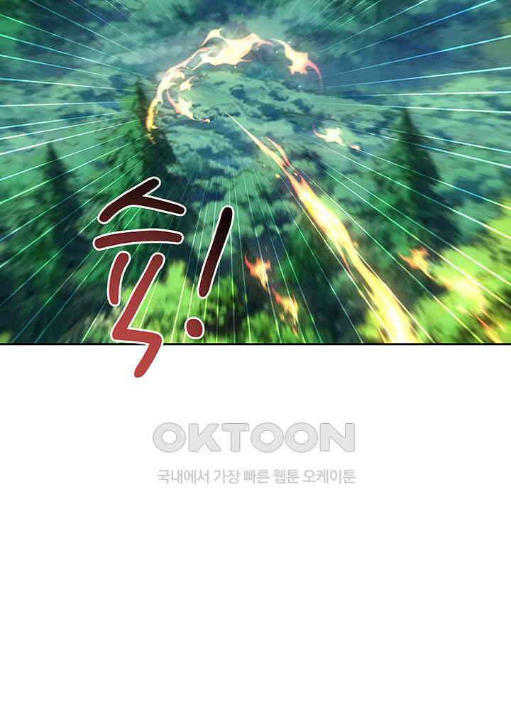 혼돈의 연단사 391 13