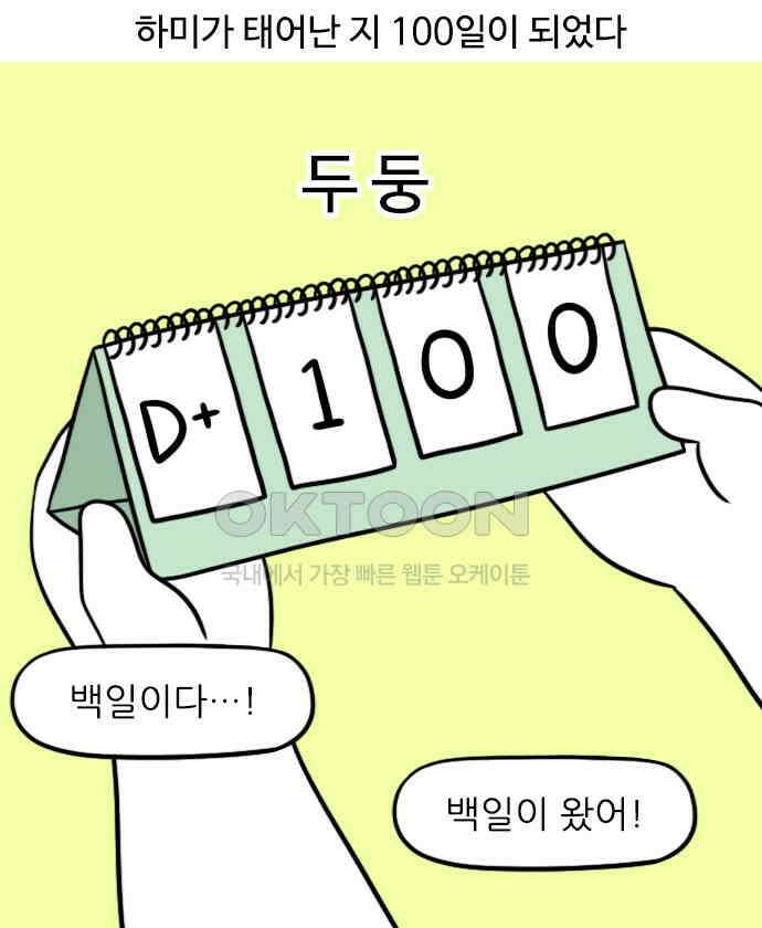 신혼일기 91화 100일 1