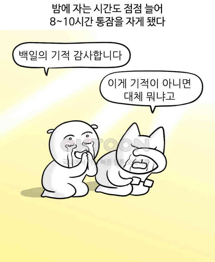 신혼일기 91화 100일 4