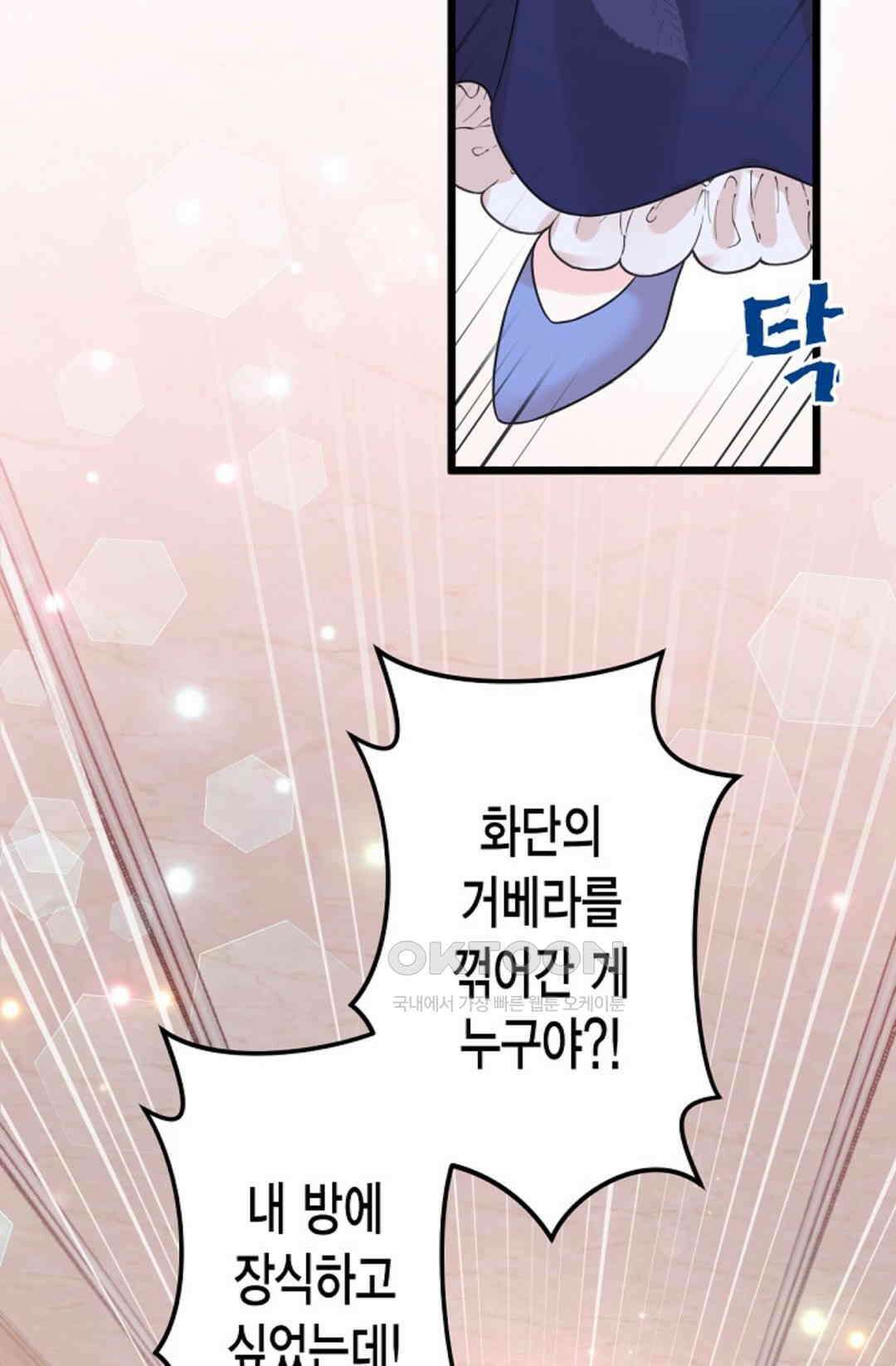 23번 파혼한 냉혈 후계자를 길들이는 법 44화 8