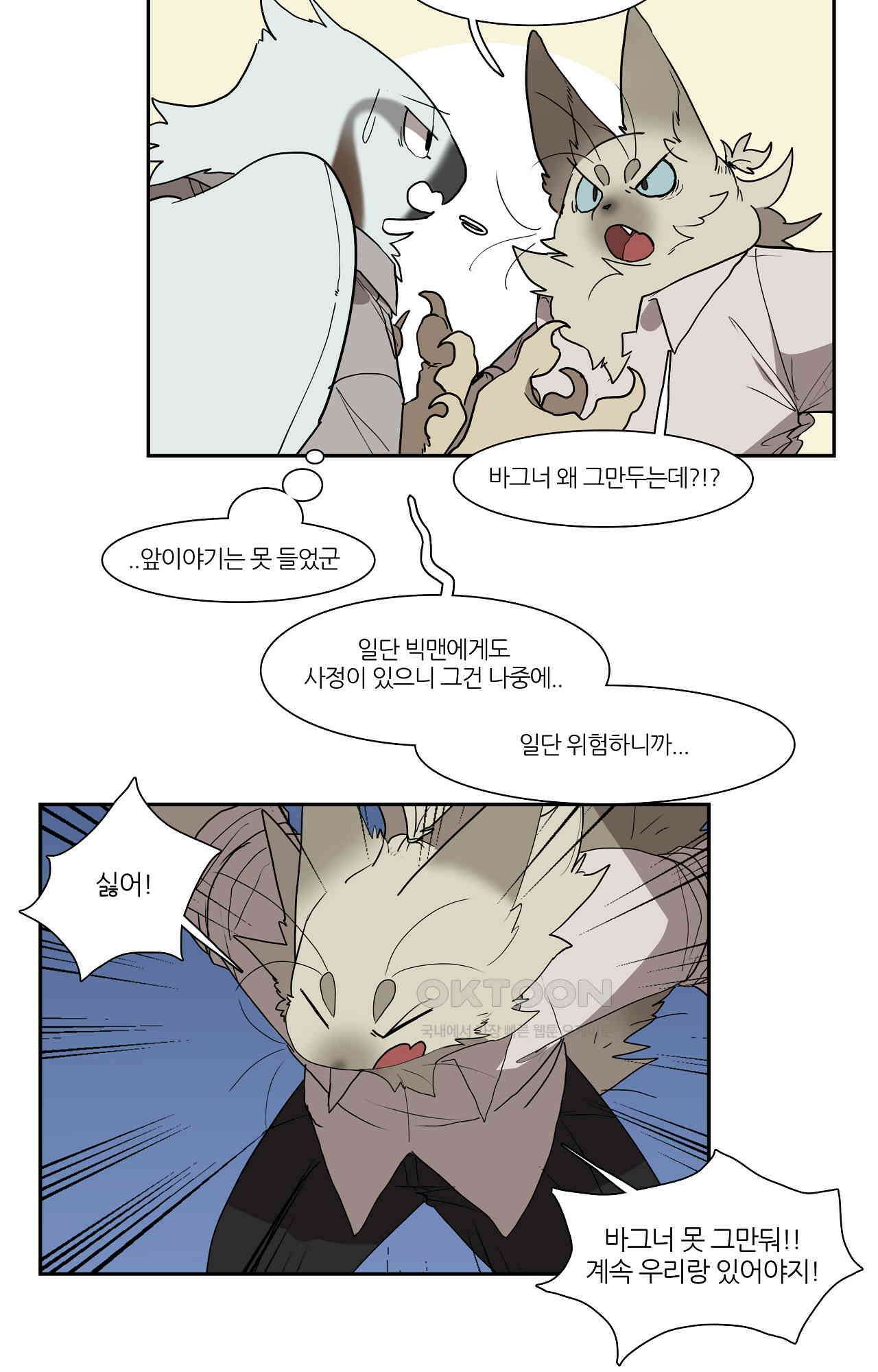 고양이 아가씨와 경호원들 350화 - 각자의 준비 2