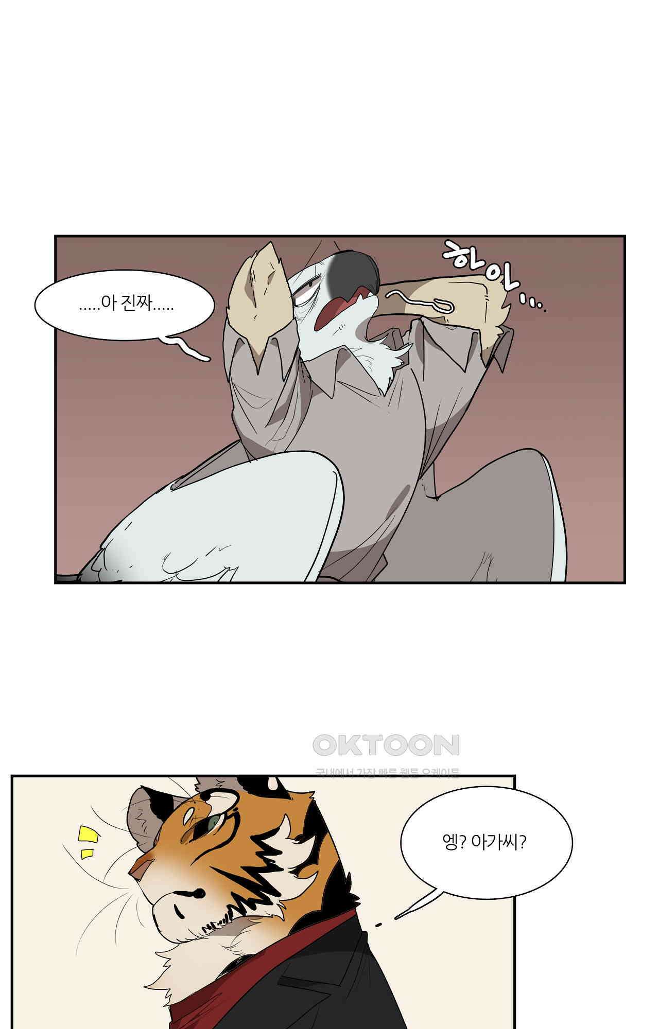 고양이 아가씨와 경호원들 350화 - 각자의 준비 4