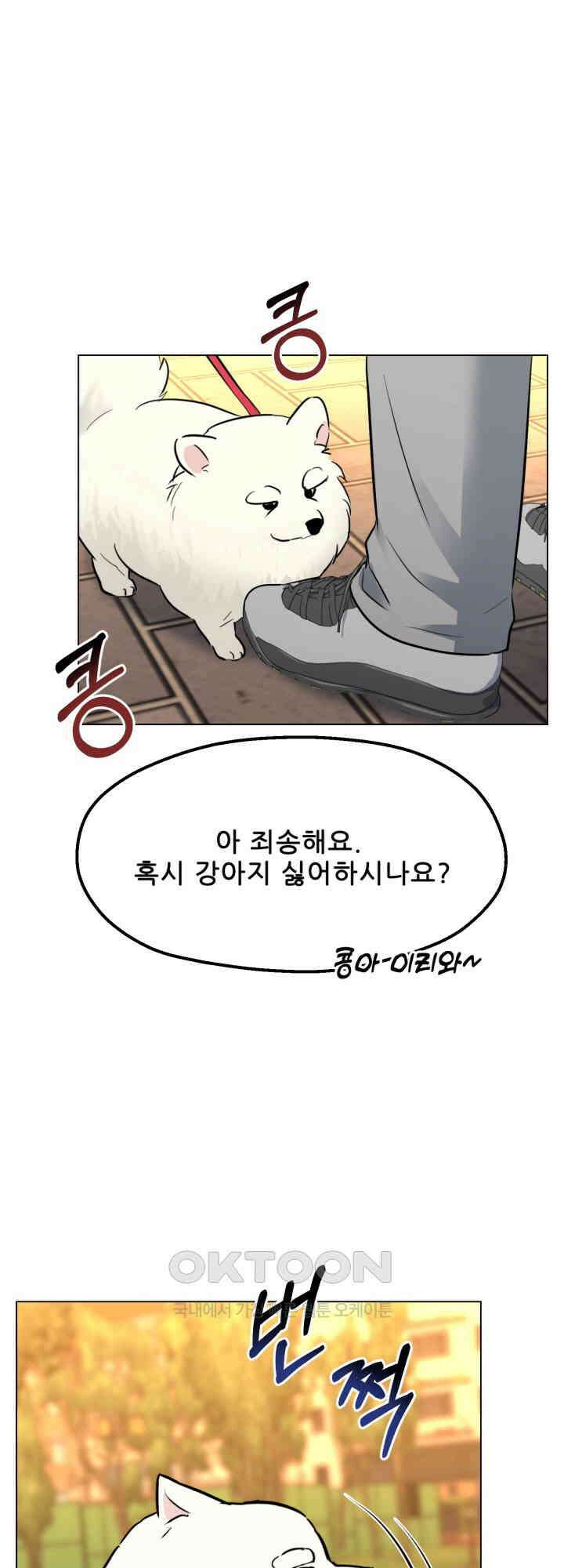 스무번의 밤 49화 11