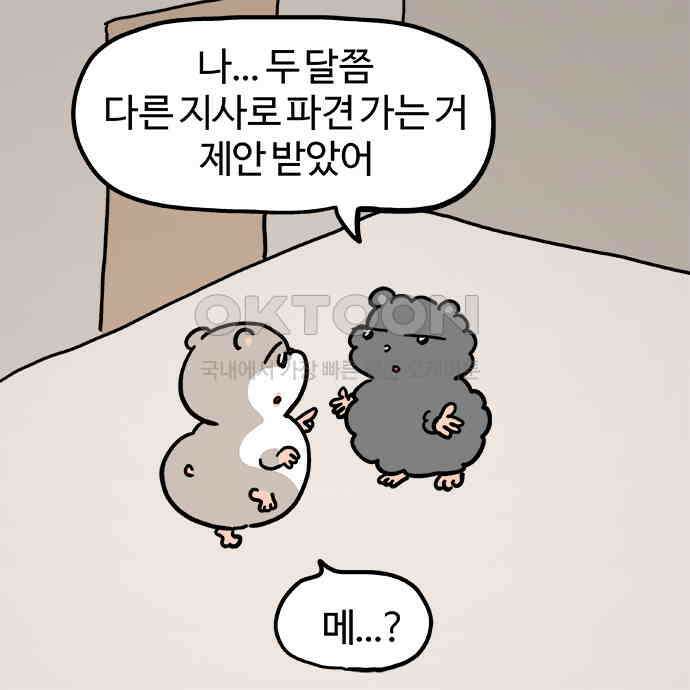 흔한햄 2부 33화 : 서프라이즈 2
