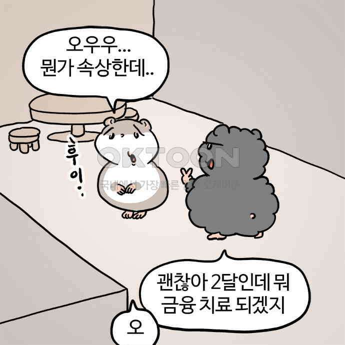 흔한햄 2부 33화 : 서프라이즈 4