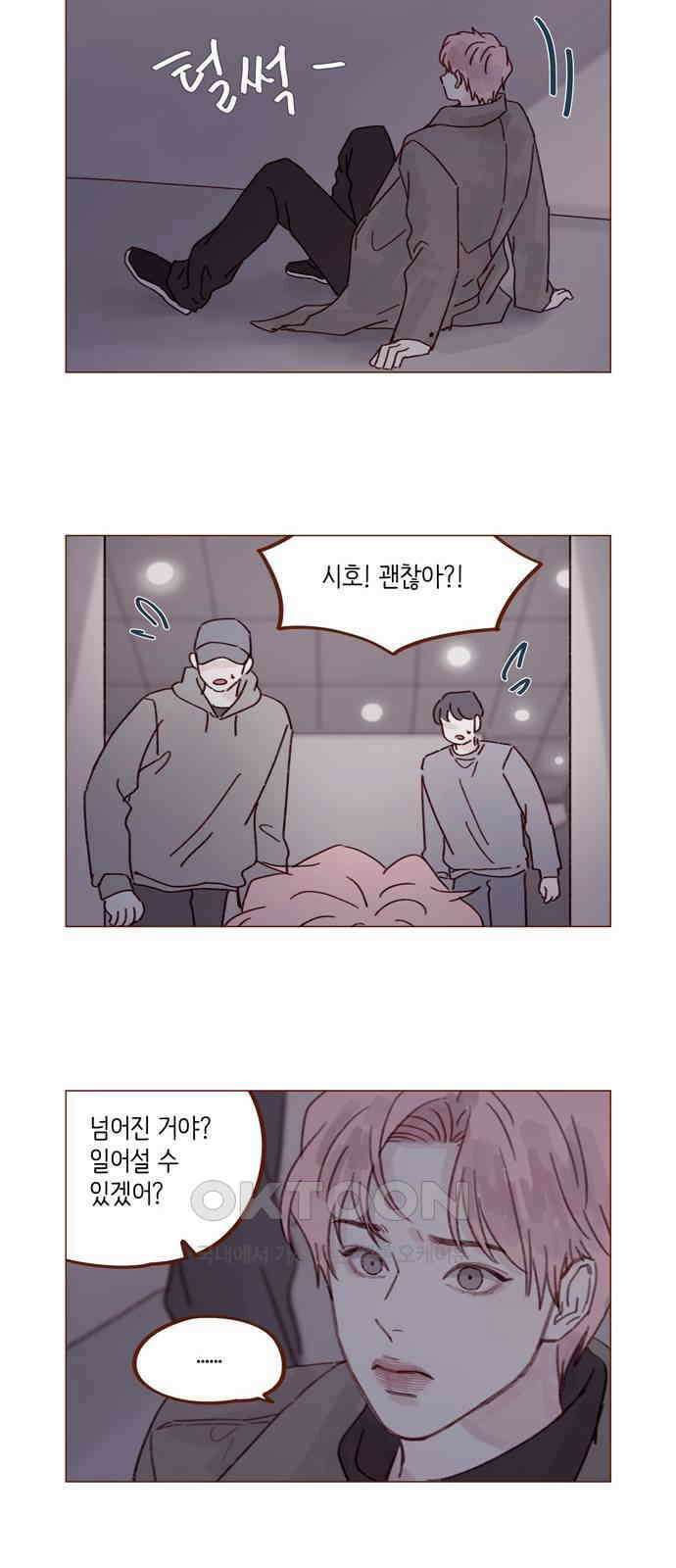 홍시는 날 좋아해! 279화 : 생각보다 걜 잘 모르네 12