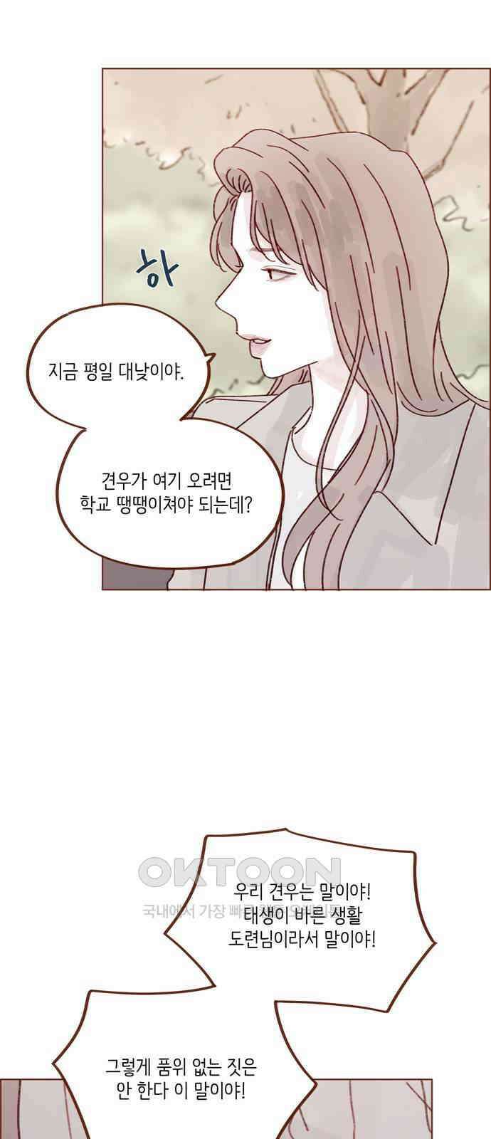 홍시는 날 좋아해! 279화 : 생각보다 걜 잘 모르네 30