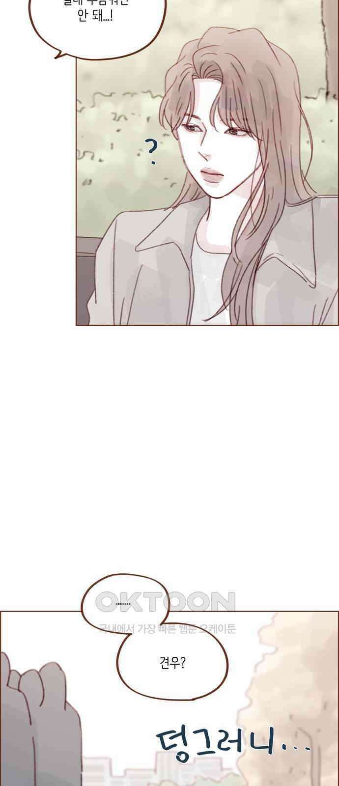 홍시는 날 좋아해! 279화 : 생각보다 걜 잘 모르네 35