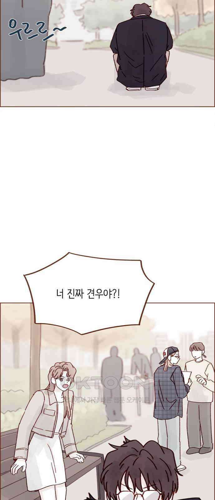 홍시는 날 좋아해! 279화 : 생각보다 걜 잘 모르네 36