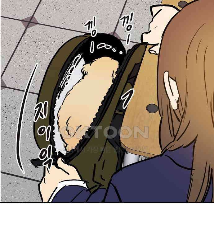 랑데뷰 외전-개줍 랑데뷰(3) 58