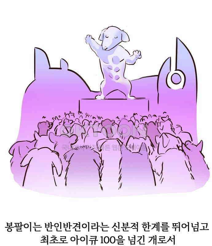 랑데뷰 외전-개줍 랑데뷰(3) 100