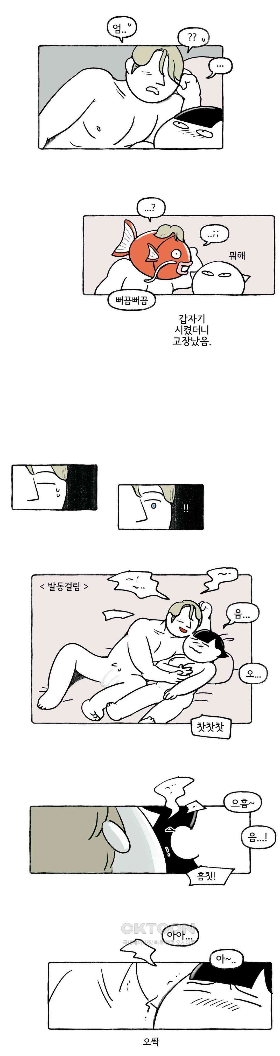 몸만 원해 아메리칸 5 3