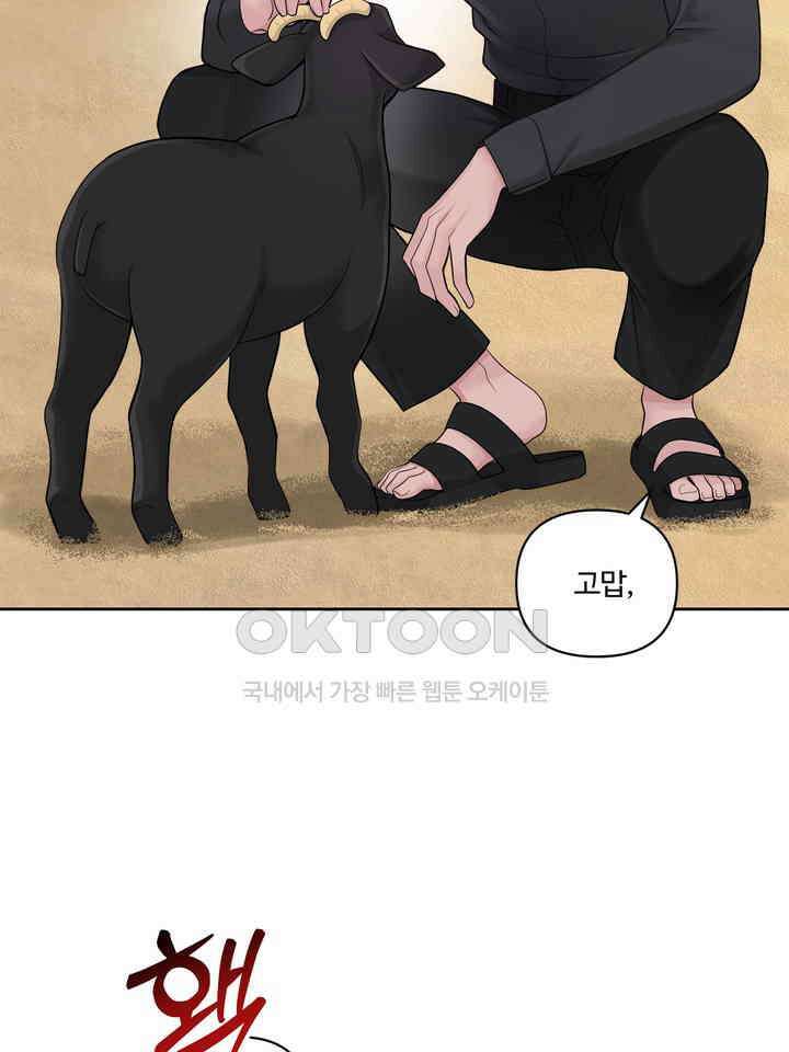 갓츄! 원더랜드 25화 22
