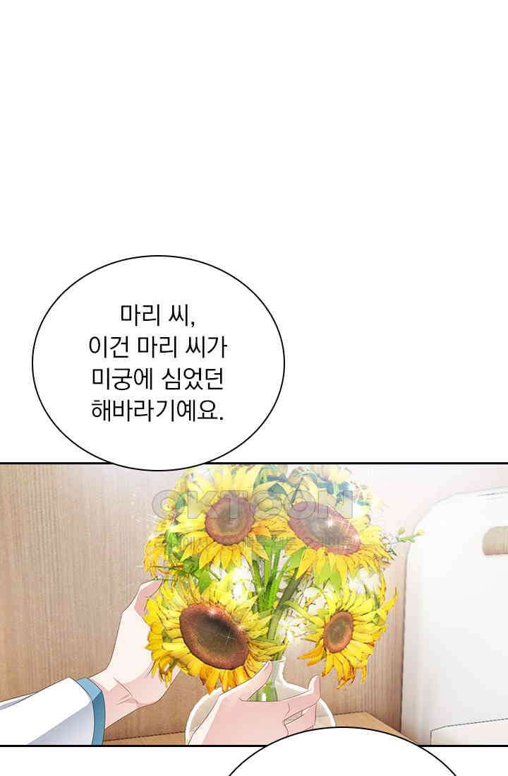 이혼해줄래요? 561화 1